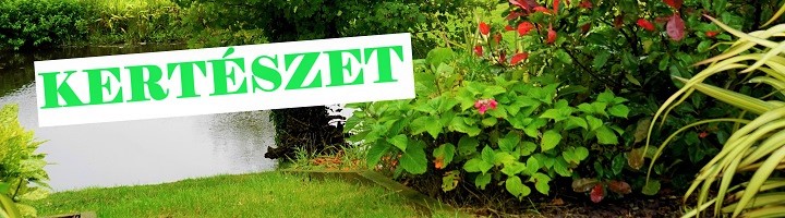 Kert és Udvar Webáruház